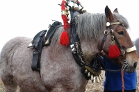 Carnaval_2006_81
