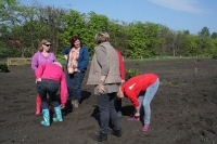  Boomplantdag 2014_13