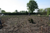  Boomplantdag 2014_23
