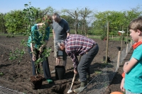  Boomplantdag 2014_8