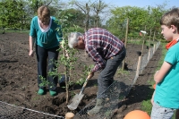  Boomplantdag 2014_9